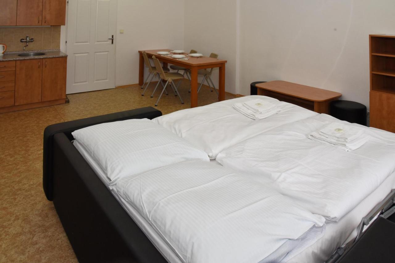Zamek Racice Hotel Екстериор снимка