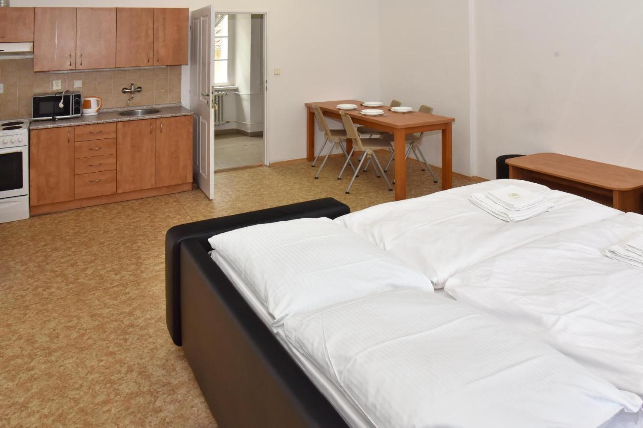 Zamek Racice Hotel Екстериор снимка