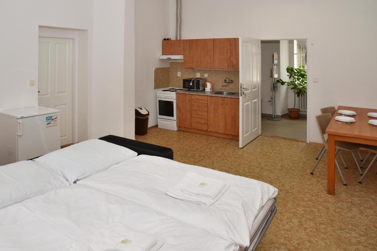 Zamek Racice Hotel Екстериор снимка
