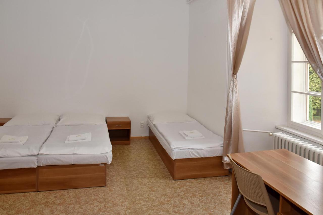 Zamek Racice Hotel Екстериор снимка
