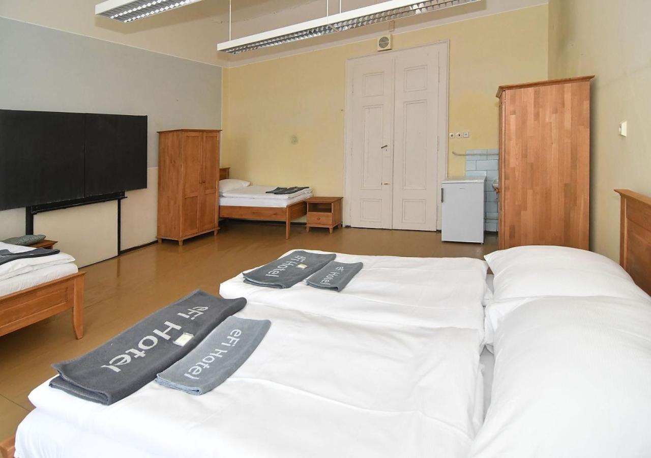 Zamek Racice Hotel Екстериор снимка